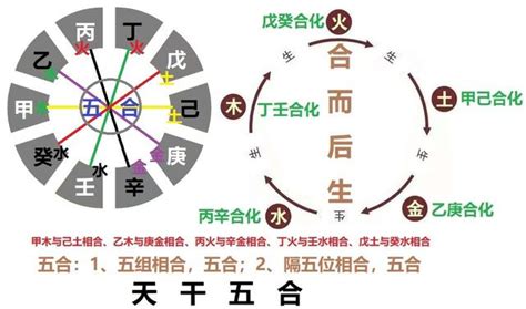 五行合化表|天干合化的4种解释，天干五合怎么合出来的，天干关。